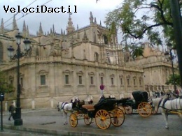 Mis Carreras