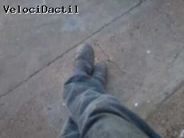 Mis Carreras