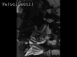 Mis Carreras